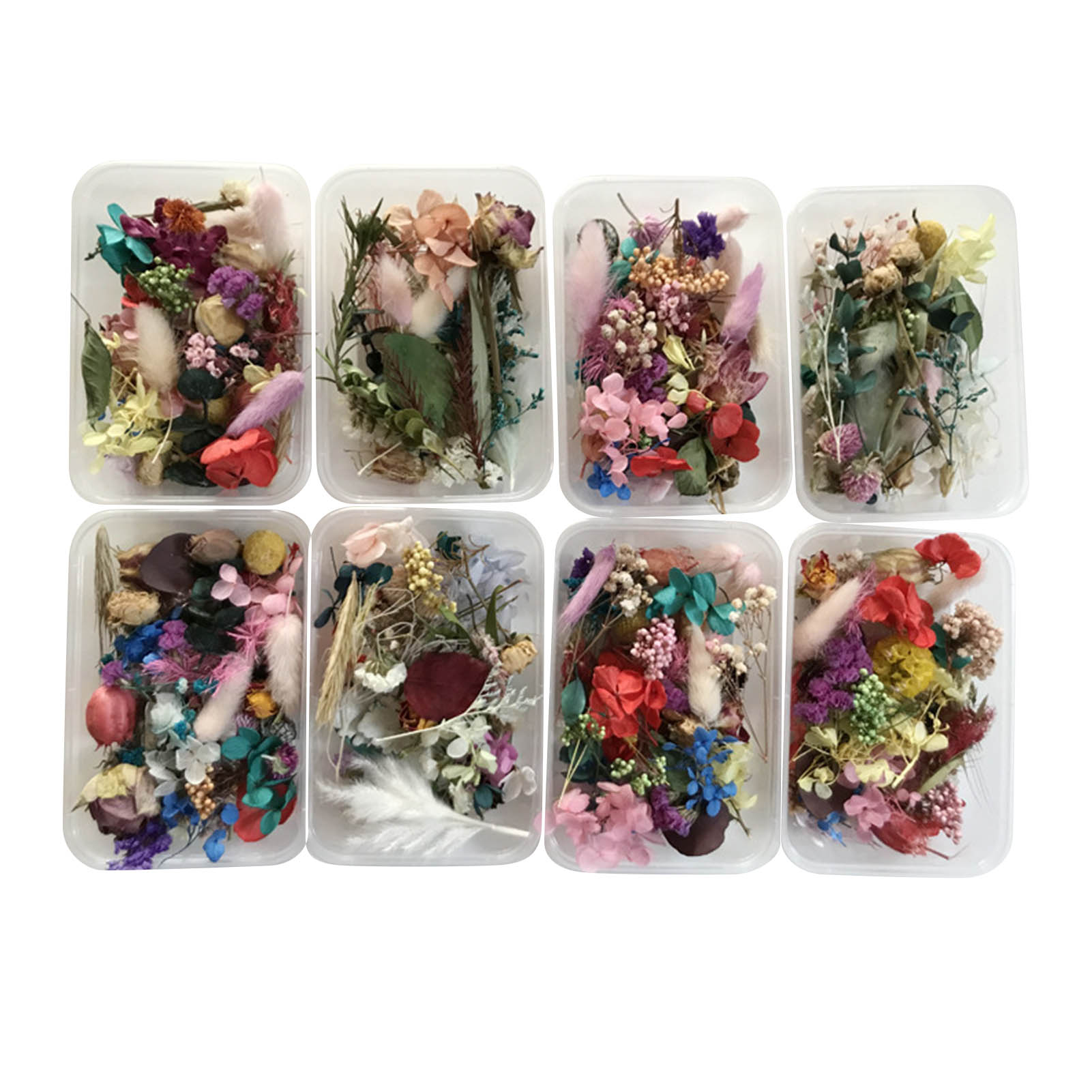 Kit de flores secas naturais,  - Dried Herbs avaliação e preço