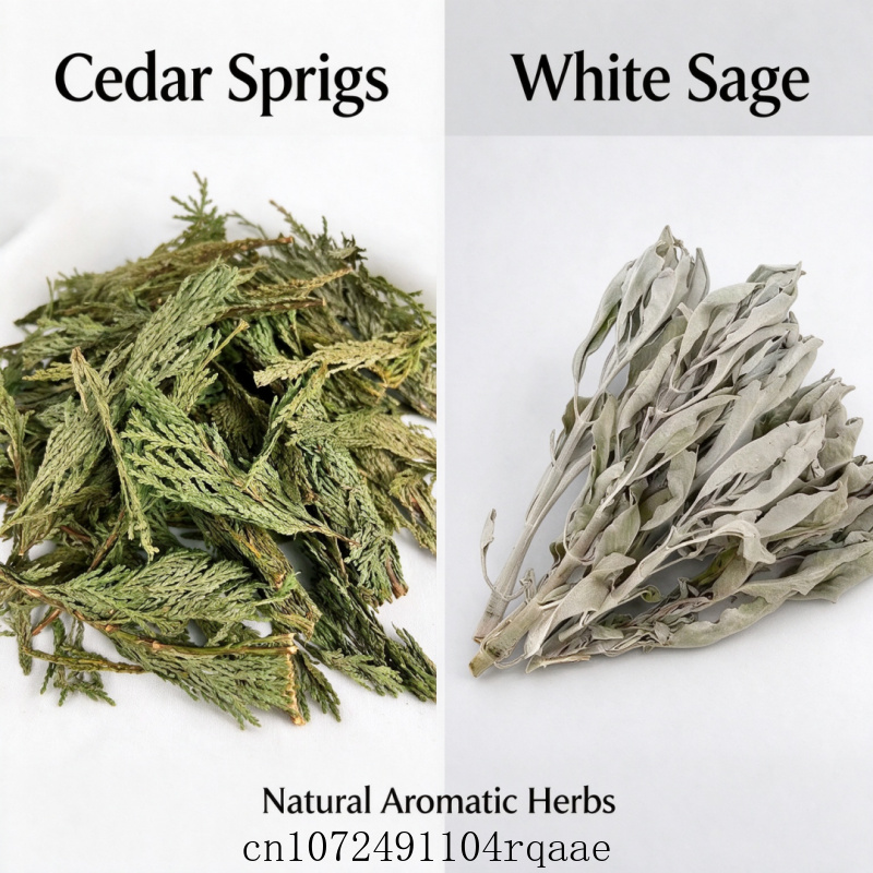 Ramos de Sálvia Branca Seca e  - Dried Herbs avaliação e preço