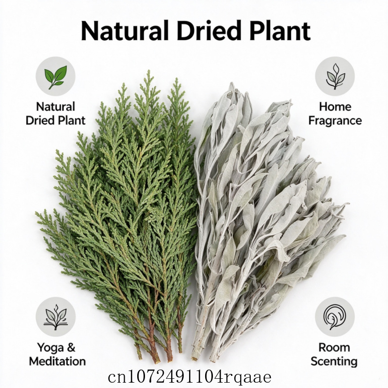 Ramos de Sálvia Branca Seca e  - Dried Herbs avaliação e preço