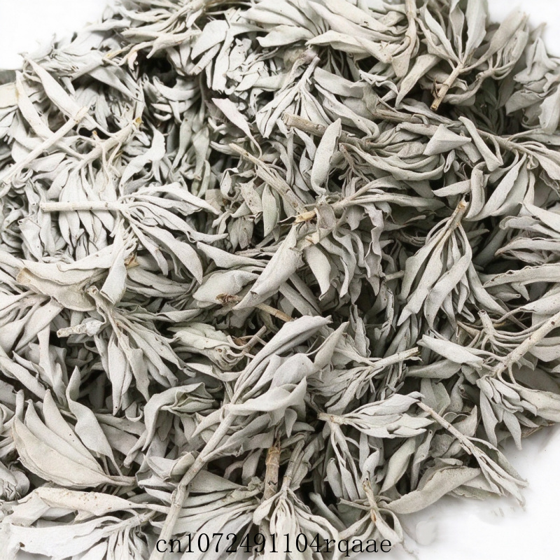 Ramos de Sálvia Branca Seca e  - Dried Herbs avaliação e preço