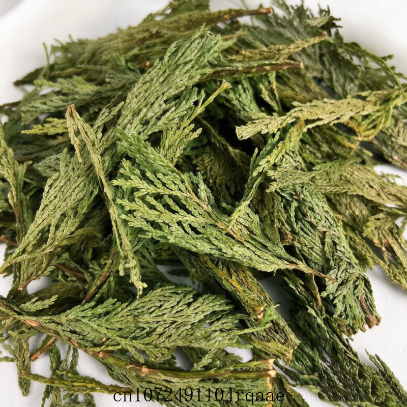 Ramos de Sálvia Branca Seca e  - Dried Herbs avaliação e preço