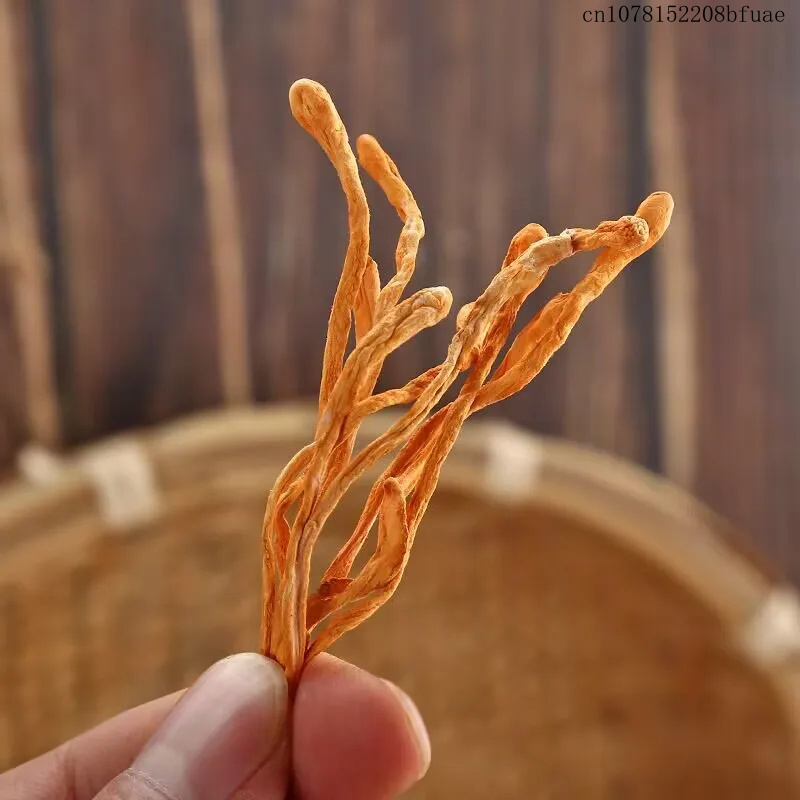 Flores de Cordyceps Secas 250g - Dried Herbs avaliação e preço